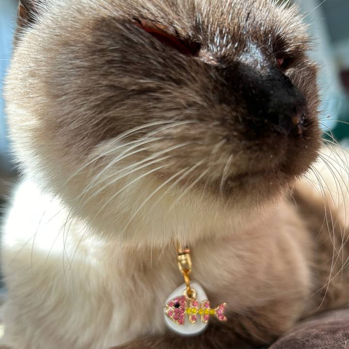 D2019c3d aa49 427b 8fb1 73a3aaf77572 1704507476706