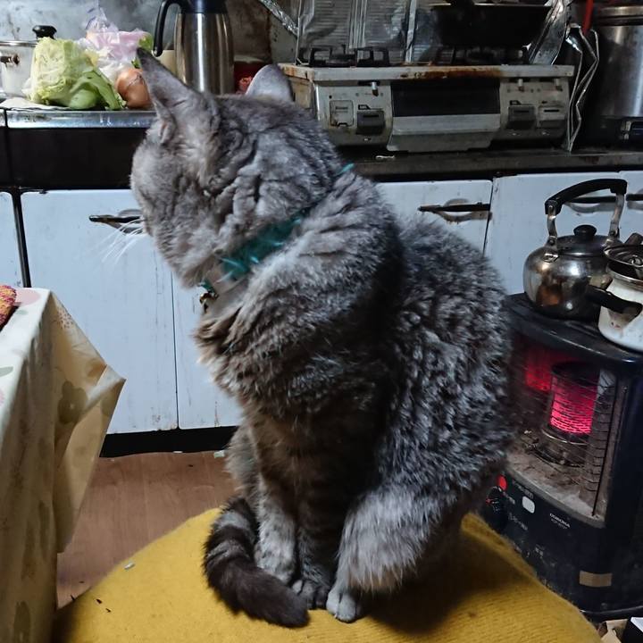 D201a127 7f0d 45b2 97ea 021106d29e9d 1573642560476