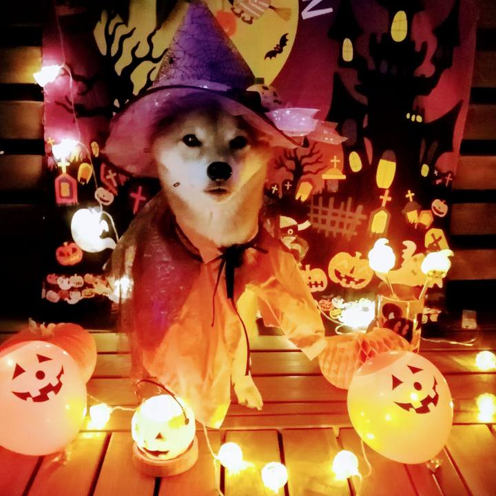 D201ba62 77da 45a7 9b75 3d199031a9c1 1604134140536