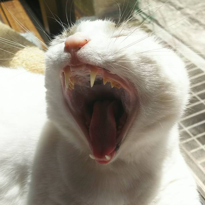 D201f920 310d 44e0 8a97 0b99b00df72b 1525005912886