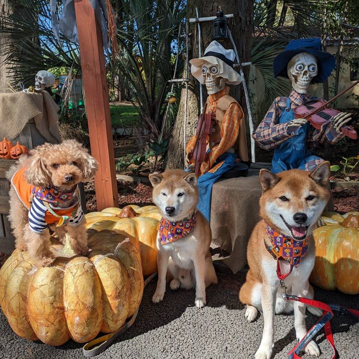 D20228f4 a046 4250 8d93 3000f1e05468 1697121805868