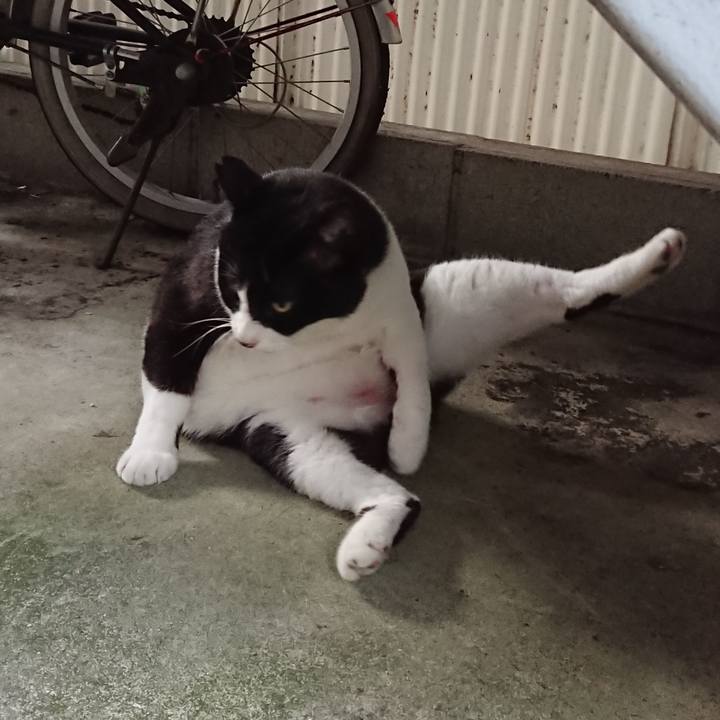 D2026366 05e1 4384 b228 1e4314ef9238 1594545356773