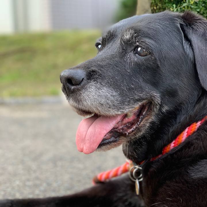 D2026700 11e8 4494 b740 5d3976e0544f 1625275027980