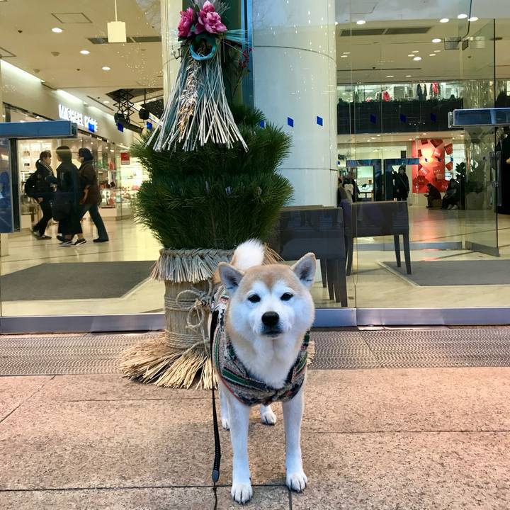 D202a1f4 df79 4981 a12f 7c8743df98b9 1767415214744