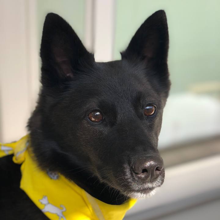 D20306ec 1c80 47b8 9256 68a939091797 1584756733421