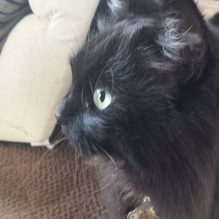 D2030f4f 026a 4e4c 97db 36f258914a65 1516831173065