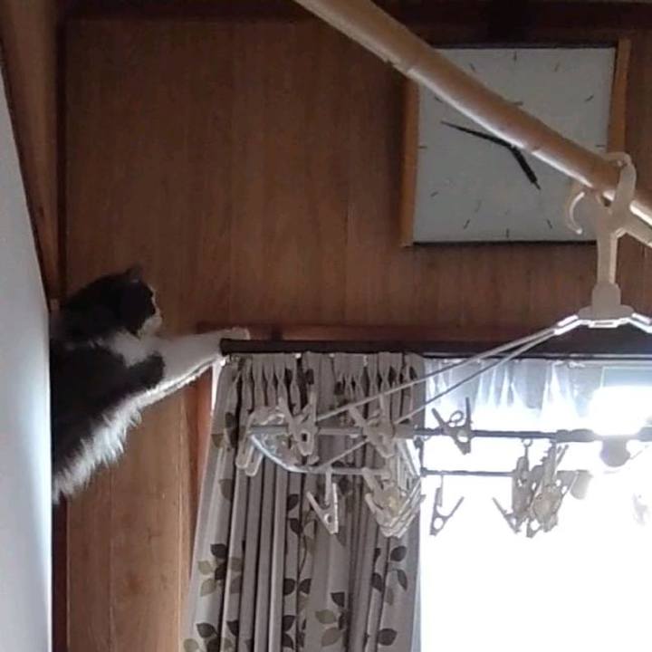 D2036622 e77d 4423 9515 ed9de6427000 1628413943689