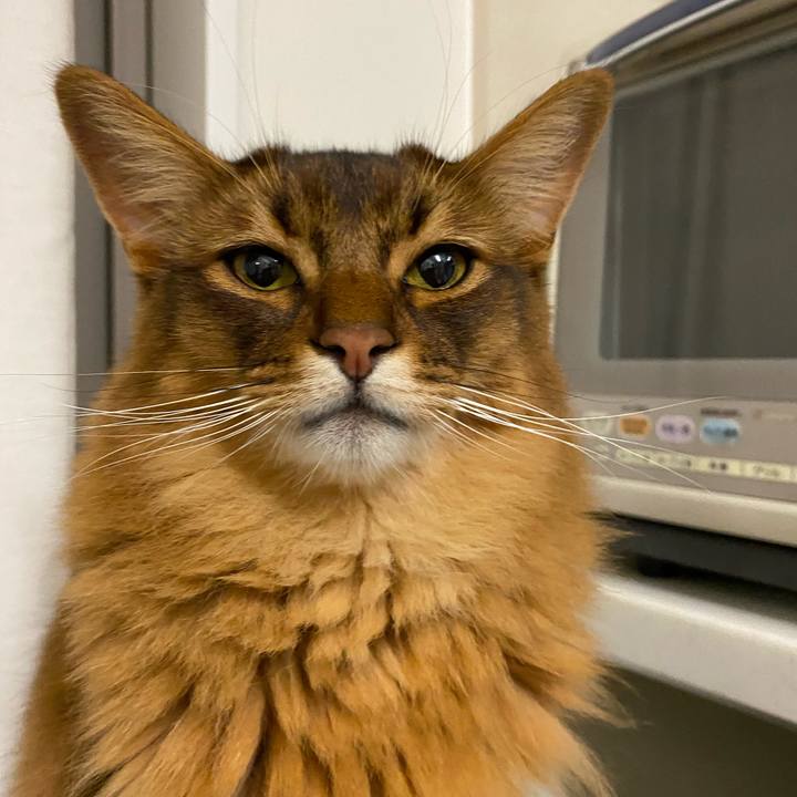 D20390b3 3af8 4a50 8a7e dfa78094a8ab 1653961740284