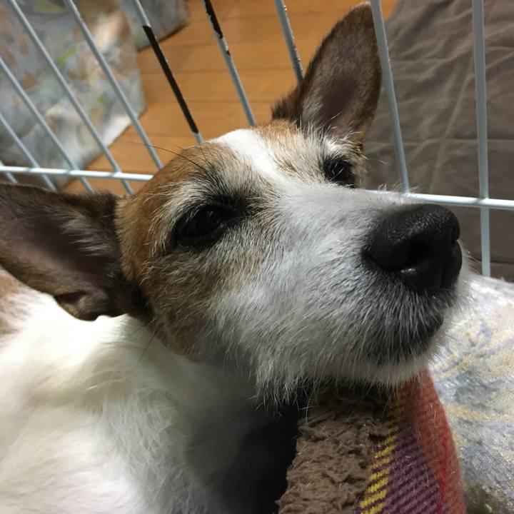 D203b088 cc96 4f8f 856e 0737acd59560 1601940920872