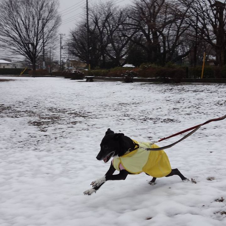 D203bfc3 6060 491c af7c 8b738a95813a 1741133320229