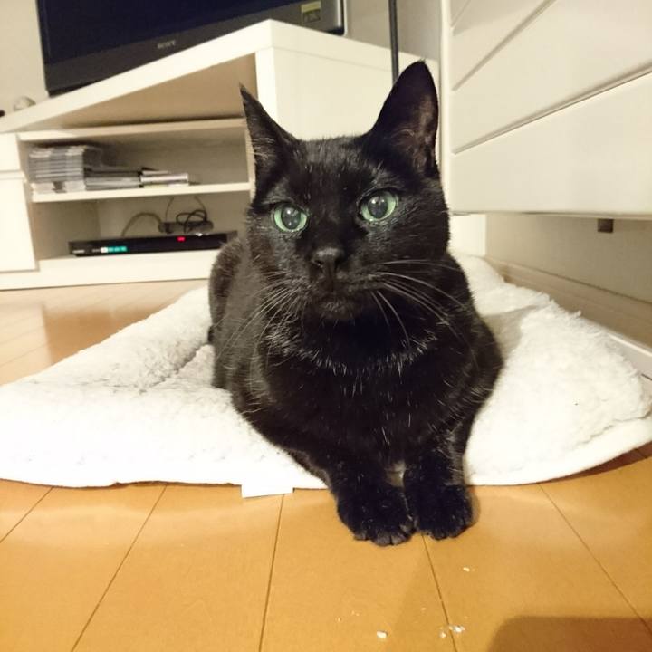 D203c226 907a 4b03 9d3f e191cbc16102 1579266508086