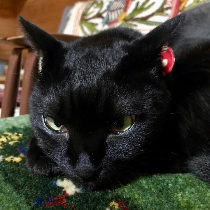 D2047864 9c18 4657 b2ab b22a5e376d9a 1553953566396