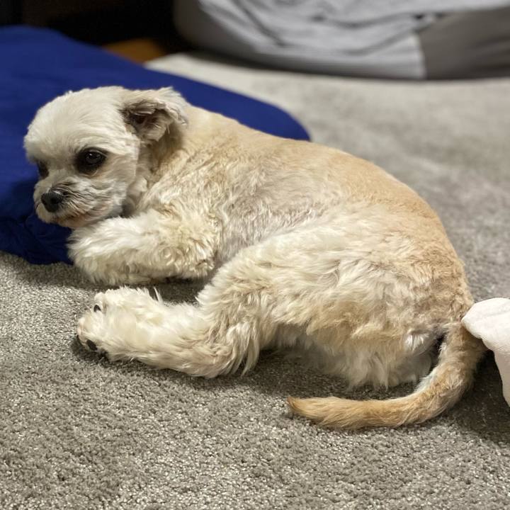 D2047be1 c21f 49cd ab88 8c22ae13e34b 1676375991206