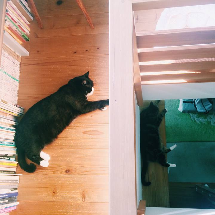 D2047d19 03d5 490d bbbc 2b15f3d59388 1568073699139