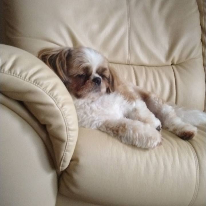 D2048d77 076b 48dd a58f a1a2da4f956e 1660540067438