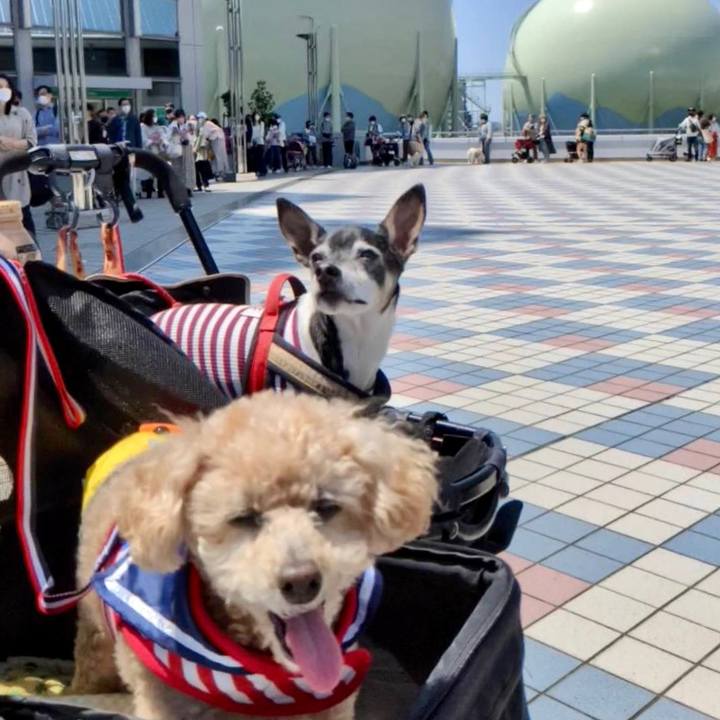 D20503fd 44c8 4b49 9a92 178ba3f9d673 1651655469509