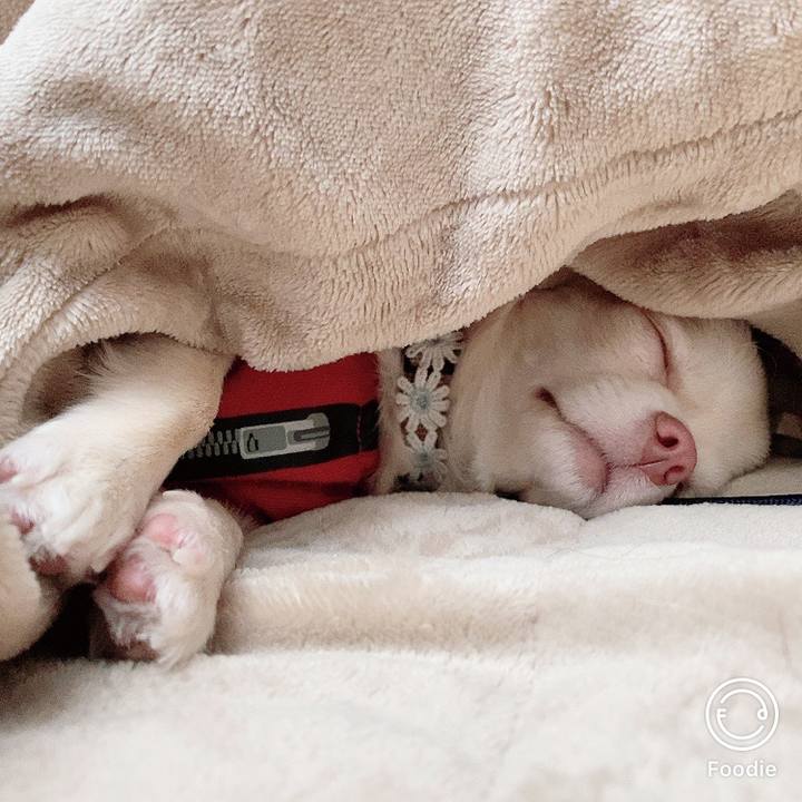 D2051a26 6075 4bf2 9ee9 24a8fbd951f6 1608255666528