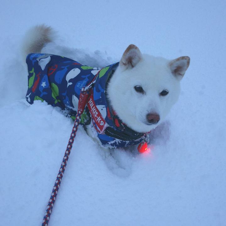 D2052388 cb78 4193 b6da 1983cddbc639 1610182554613