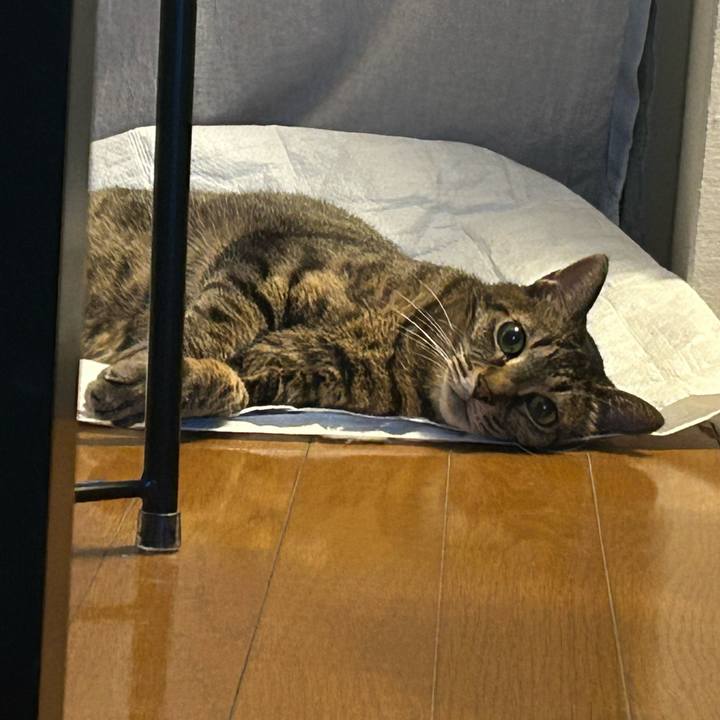 D2054d49 1481 40e3 8c1d 6fc3dfe375cf 1753943982969