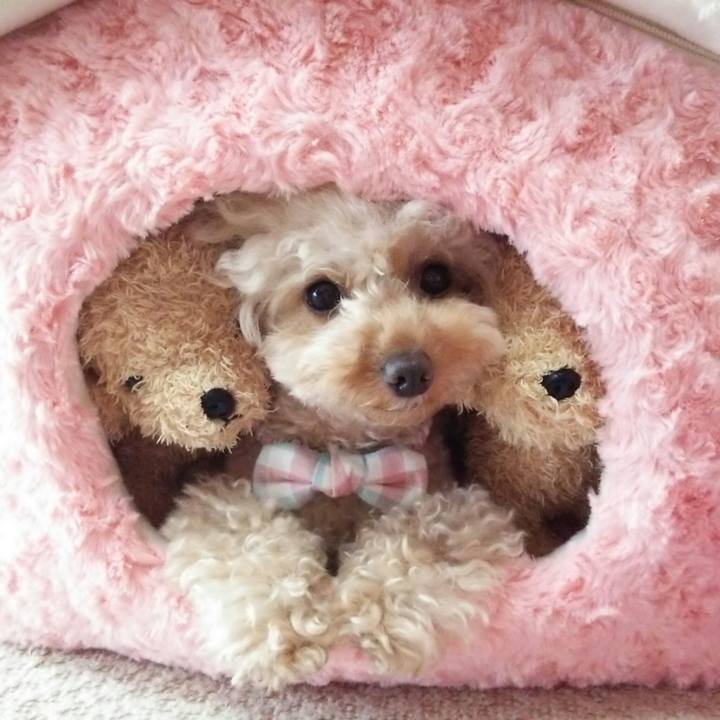 D2055e2a 55b3 4cd9 8700 875689252c4b 1516186978376