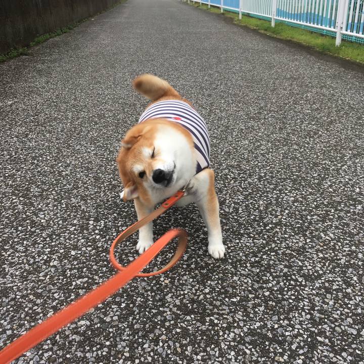 D20584fc 1389 4e7c b4ff 5aa2b03be8bf 1541395884695