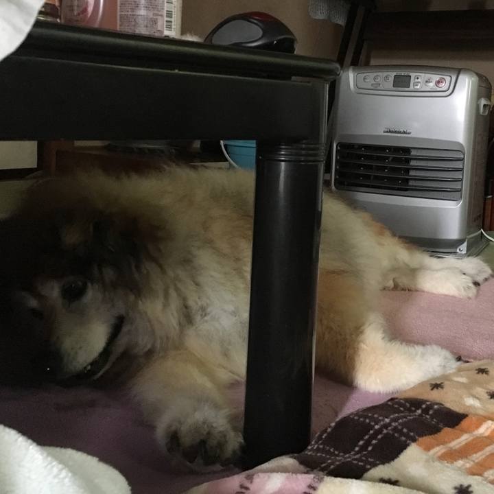 D205a3d9 c647 4aa9 9b0f b548921b08b6 1601572904823