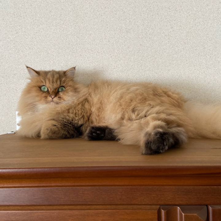 D205a6f3 50e0 413a b3a3 d7f05953426e 1573354583103