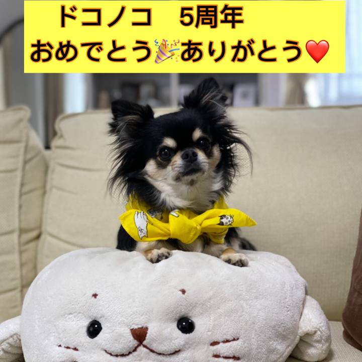 D205d1a1 9598 4d5d 8507 5c9e262c09bf 1622846228424