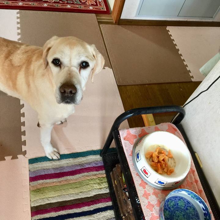 D205e6fb dfc9 46eb 811e 8965e0bbbab2 1556492742287