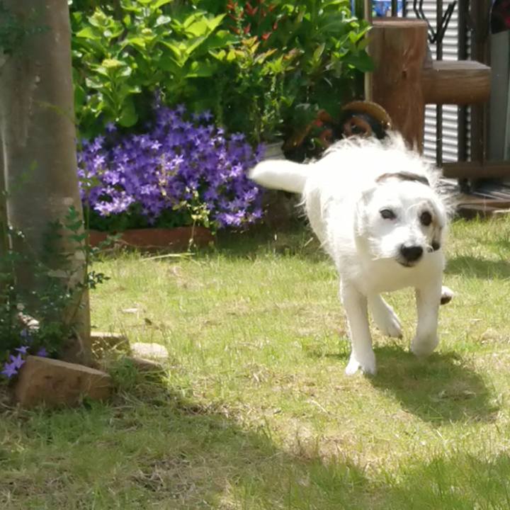 D205e721 1bfc 4eda b5c8 dc25b1a64936 1526111637075