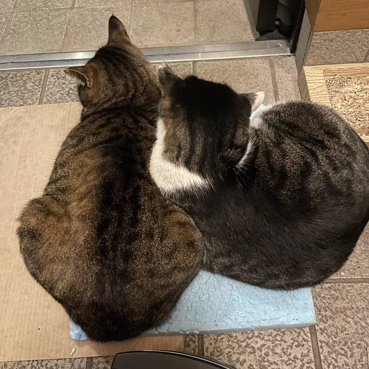 D205e7ea 933b 4117 a6c2 47ab4e3d0c35 1610624378326