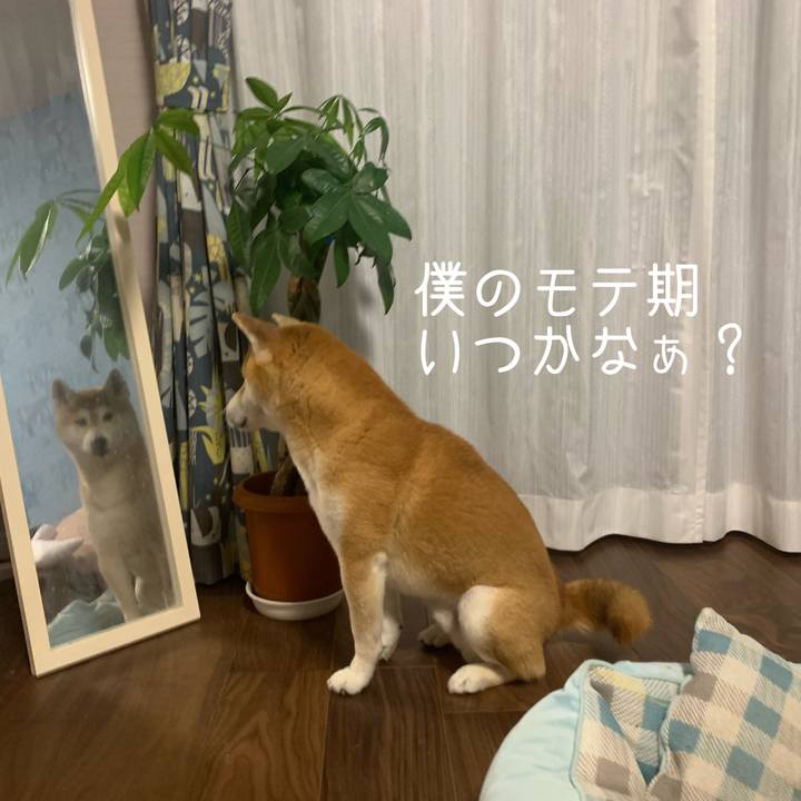 D20606cd 2aad 4f39 ac9f 402672724d7a 1621942909557