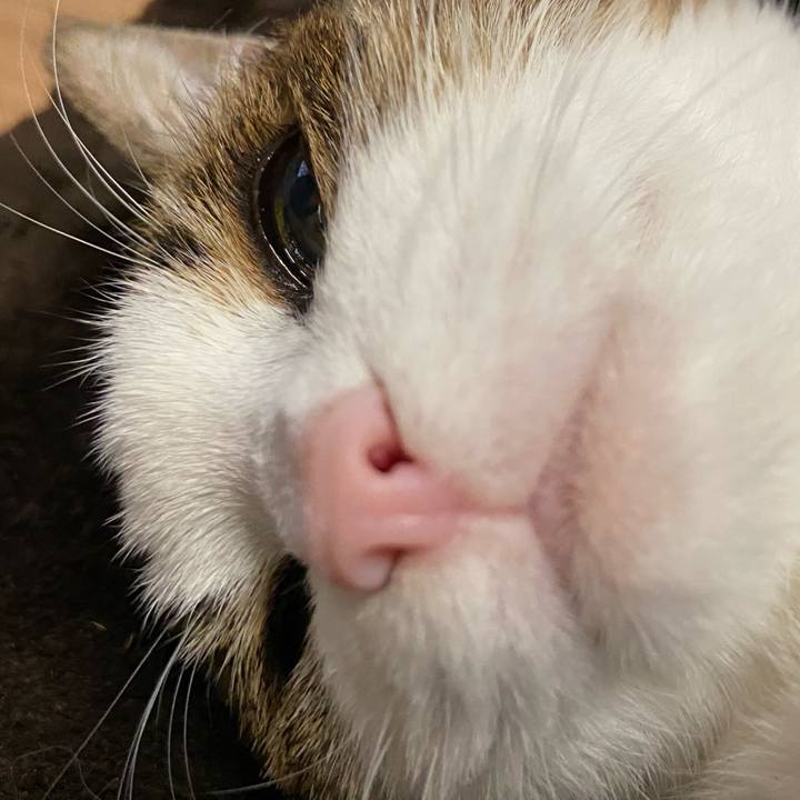 D2063329 22ea 4a88 a7cf 0152c8616bc1 1590145225919