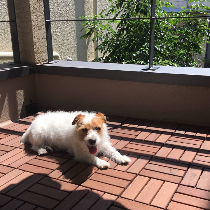 D2063888 b41c 4e16 8051 c7821d0b2402 1531630730835