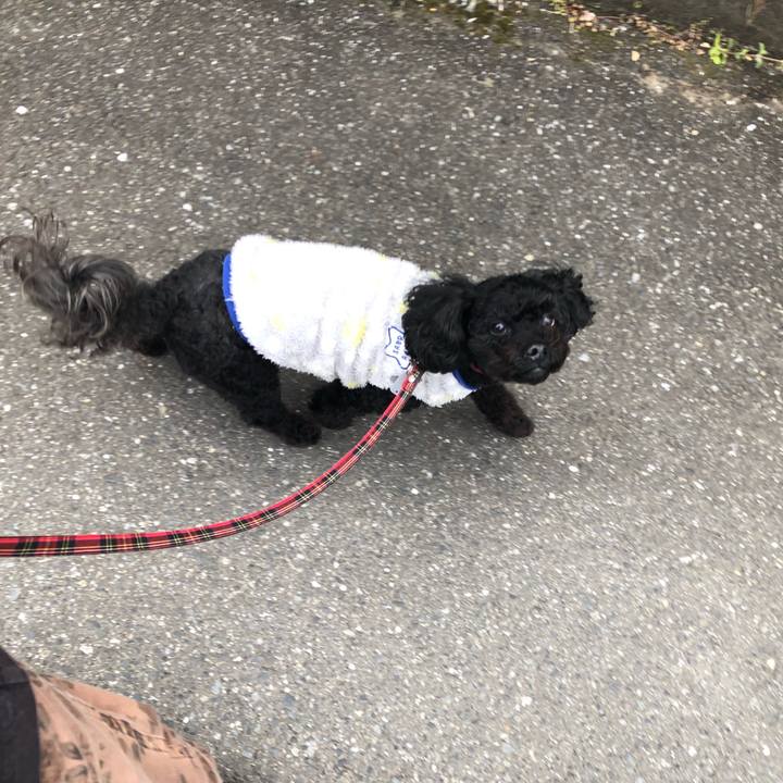 D2063b6c c278 490f abb7 b36bbedda5df 1586226263361