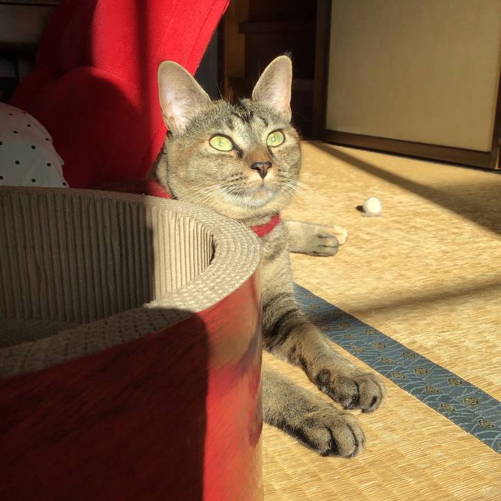 D20650b4 66df 4ffd be8c 02d319a8ab4c 1600127565313