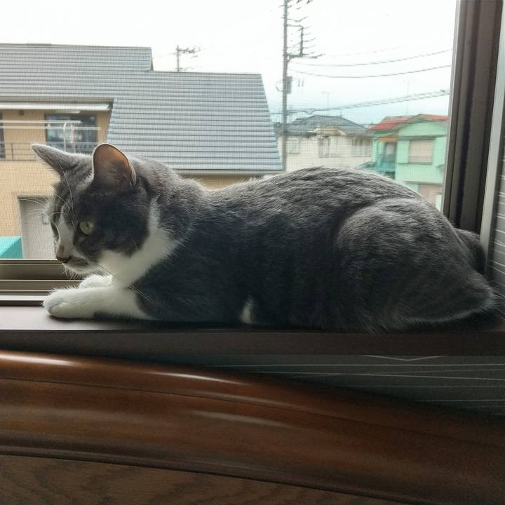 D2066b99 7428 424c 8f6a 775e0b41c106 1630883628298