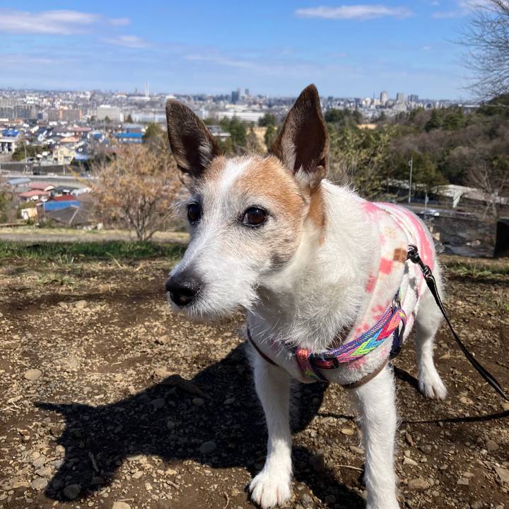 D2068c5f eaec 4771 ad69 8f8a2a96cdbf 1742513433998