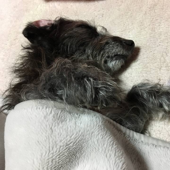 D206aa27 5492 4cc1 b733 3d1528b41387 1542753462391