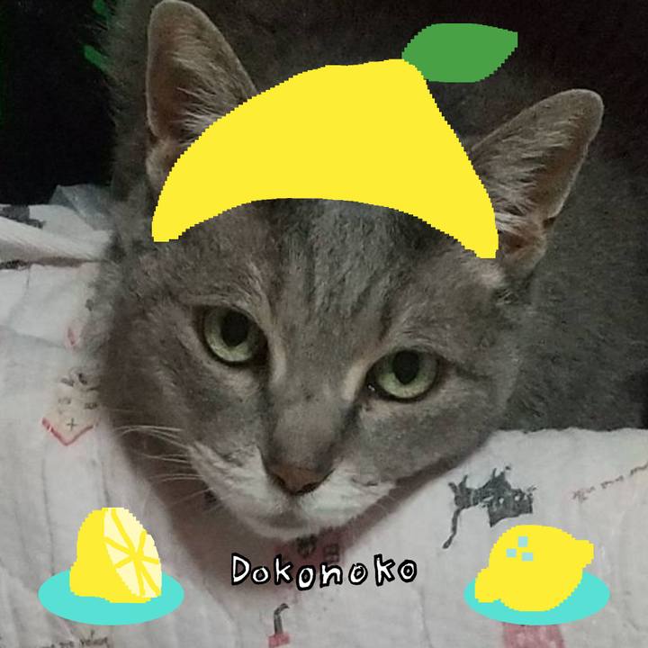 D206f612 98c0 4741 855a cca7e32555c2 1741393774485