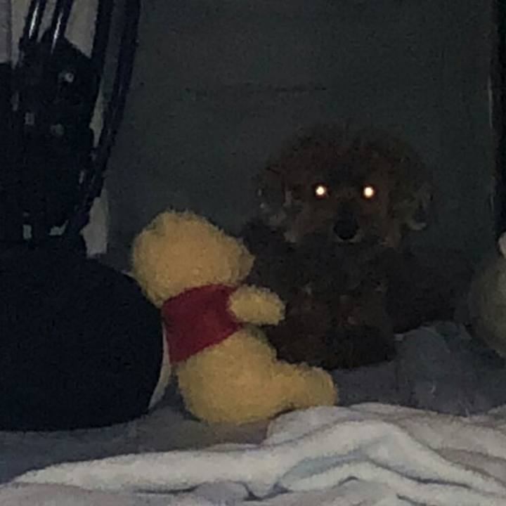 D206f71d 683b 40ee bc87 c3dbedbe95ad 1534506086623