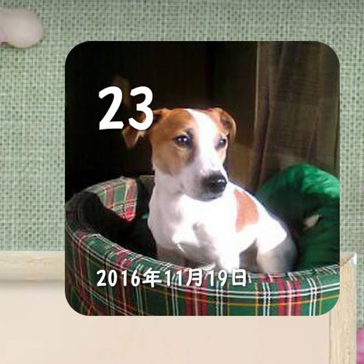 D20709f1 78bf 4755 9712 dc7cf8617b58 1637661233911