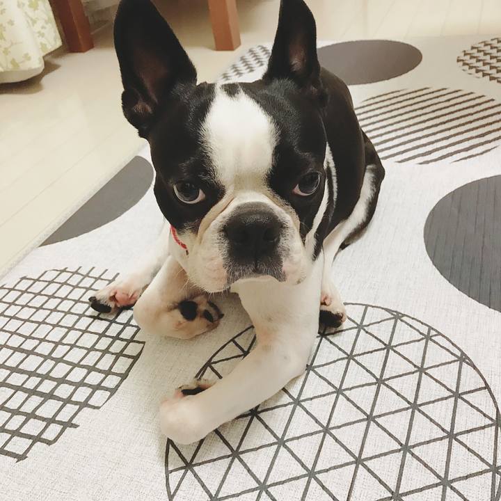 D207339a 1e5c 4ce9 8de1 0d97389a69f3 1524476531454