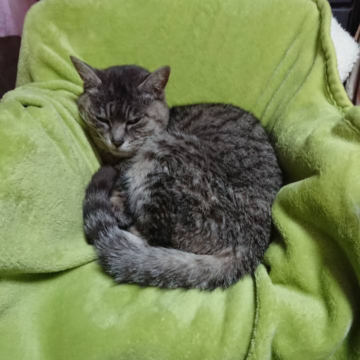 D2075dc3 c36f 4a9e 9552 65060dc48300 1583273158129