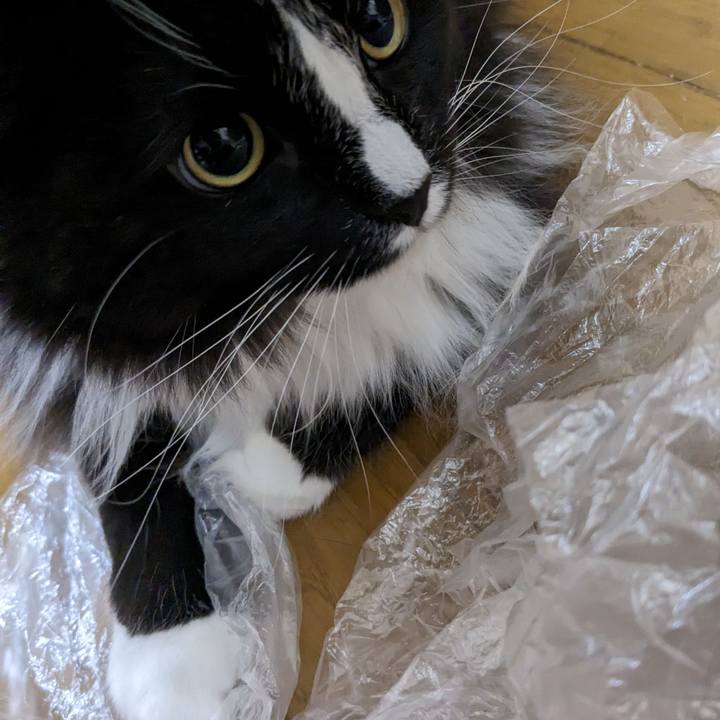 D2079f5d f5fd 4c05 be54 b533634ce8a5 1680472373379