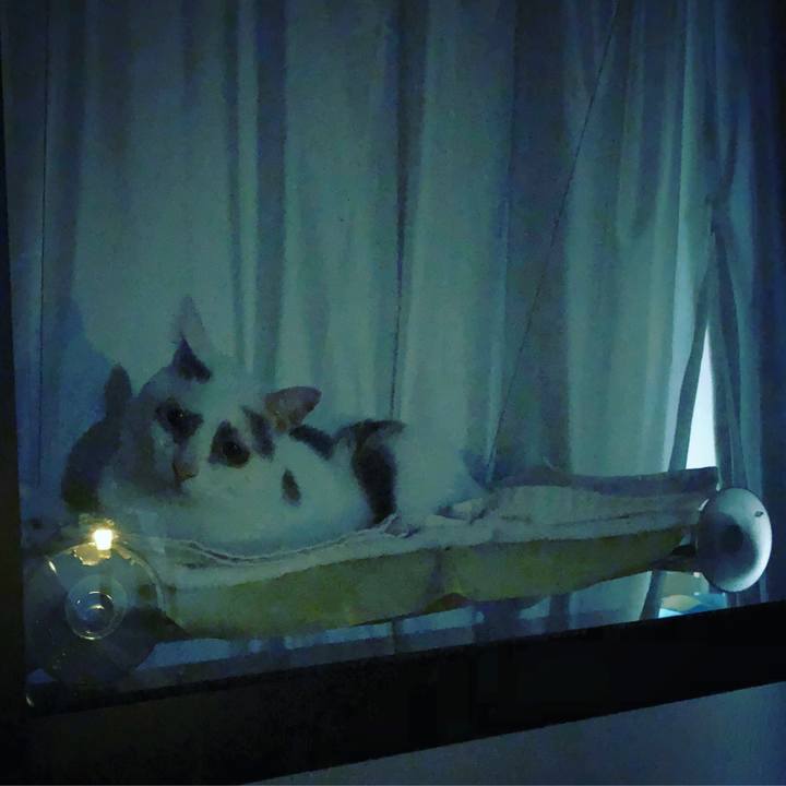 D2079f8d b5b5 4a6c 8f55 1e27208d3c34 1537188705198