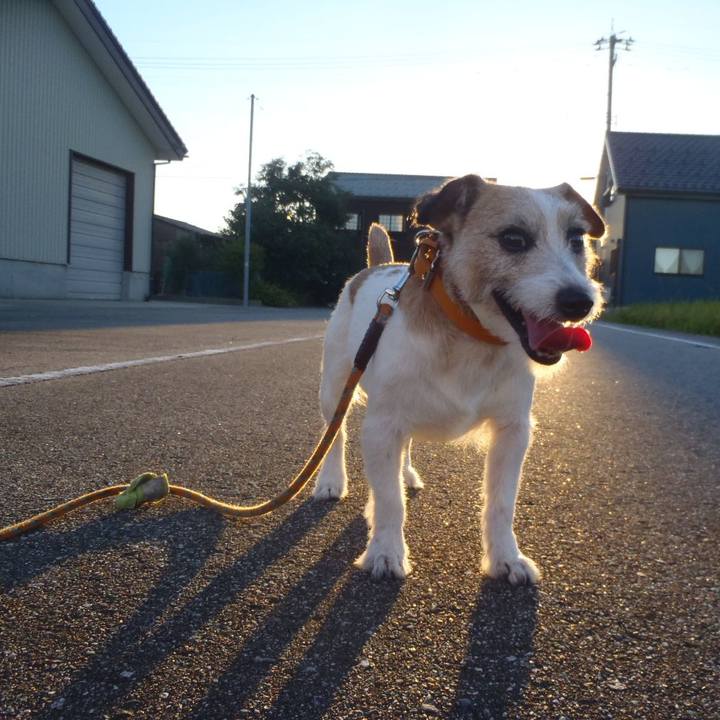 D207c4f3 7894 4c8c adfb fcc7749a9005 1534981931658