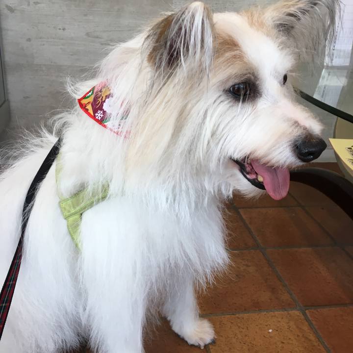 D2080d0d 9ac7 4cc0 9242 b99f9394d0ff 1513424600863