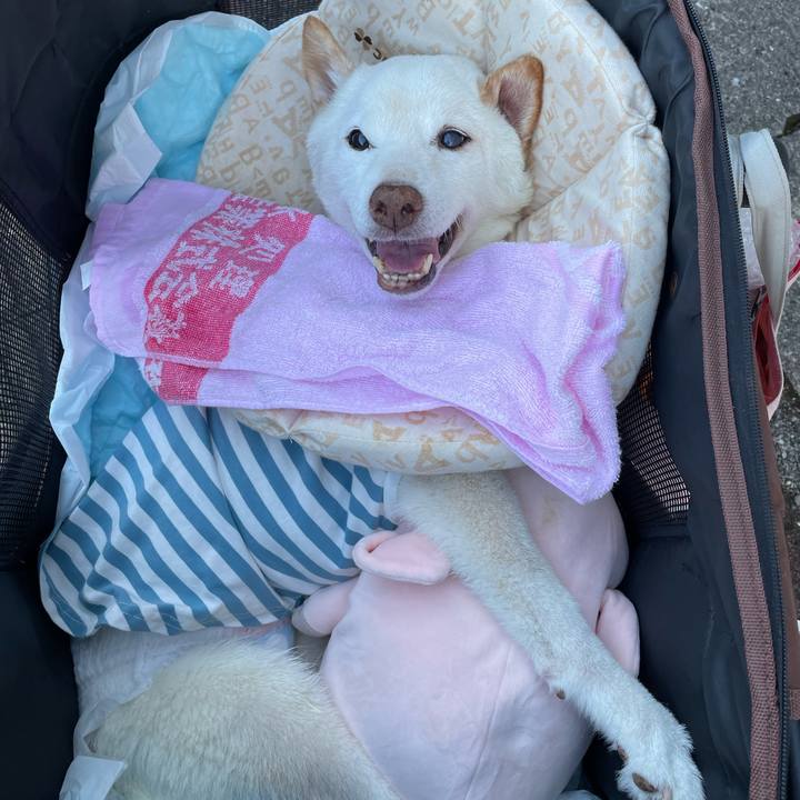 D20825ee 7cc7 4395 baa3 d8507bee0b74 1667460025014