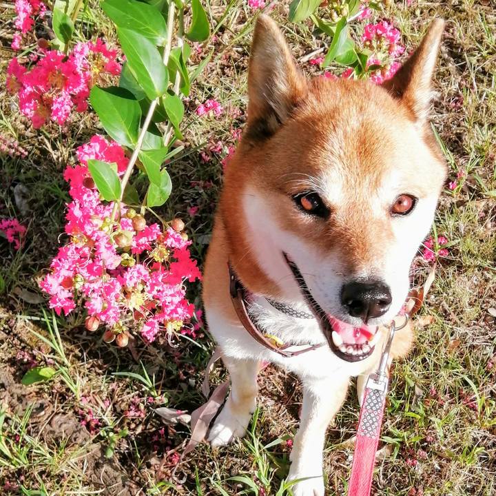 D20868aa b793 4767 80f3 f62719e10b7e 1599691484060